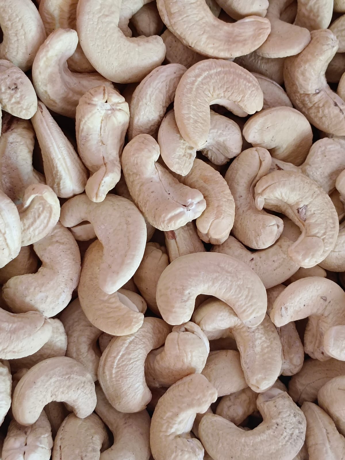 Cashew Nuts Best Quality – Grade: W180 - Processed in Kerala